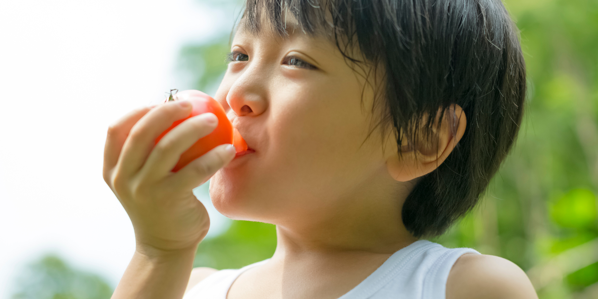 子どもの未来は安全な食から